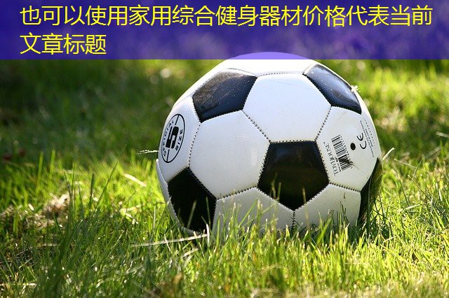 家用综合健身器材价格